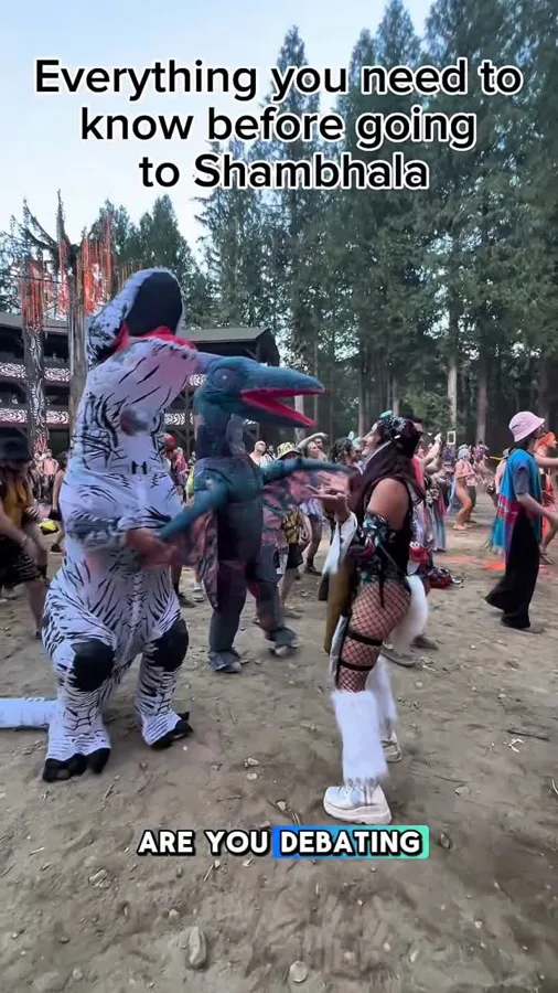 A personal guide to the Shambhala festival experience.